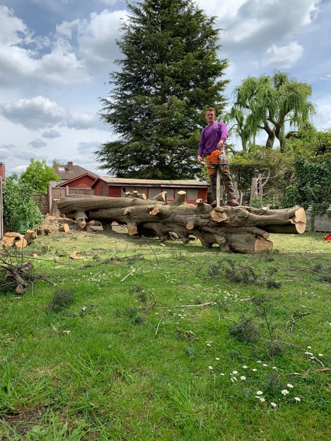 Harry Carpenter operating a chainsaw during emergency tree work in South London